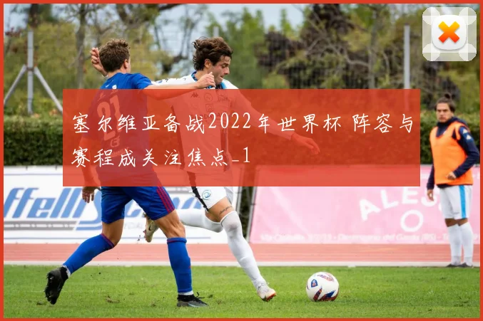 塞尔维亚备战2022年世界杯 阵容与赛程成关注焦点_1