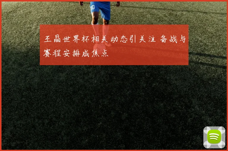 王晶世界杯相关动态引关注 备战与赛程安排成焦点