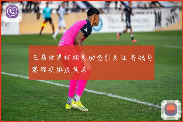 王晶世界杯相关动态引关注 备战与赛程安排成焦点